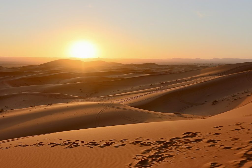 Sahara